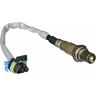 12612430 Gm Heated Oxygen Sensor 12612430 Gm Heated Oxygen Sensor