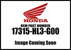 17315-hl3-g00 Honda Pioneer Sxs Canister Bracket New Oem 766856426455