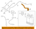 68156250aa Mopar Jeep Chrysler Oem Grand Cherokee Hose