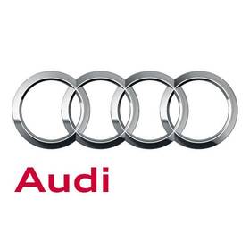 06j-103-221 Audi Genuine Venthose