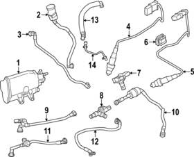 11-15-8-652-442 Bmw Genuine Lower Hose 11-15-8-652-442 Bmw Genuine Lower Hose