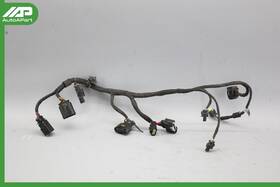 16197204983 Bosch 08-13 Bmw E70 E71 X5 X6 M57 3.5d Scr Pump Cable Harness 0280620688 Oem