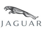 C2s21742 Jaguar Genuine Oem Vent Tube All Years C2s21742 Jaguar Genuine Oem Vent Tube All Years
