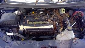 341-00385 Chevrolet Air Injection Pump Fits 13-19 Sonic 87648