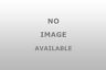 00033086302805 Cvs172 Standard Ign Canister Vent Sol