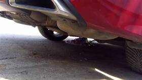 333.ho1s18 Honda Accord 2018 Passenger Side Muffler 322055