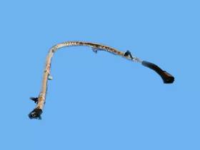 68284596aa Mopar Genuine Wiring 68284596aa Mopar Genuine Wiring