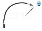 Genuine Meyle Exhaust Gas Temperature Sensor 014 800 0177 For Smart. Fixed Price $113.84.