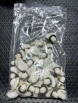 Lot Of 38 Radiator Drain Plug For Mazda Beck/arnley. Fixed Price $120.00.