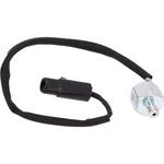 Knock Sensor 33-21589AN Bpf. Fixed Price $16.98.