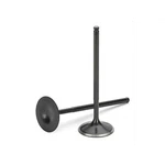 Supertech Intake Valve For Mitsubishi Lancer 4B11 Black Nitrided Set Of 8. Fixed Price $276.29.