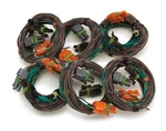 Painless Wiring 60323 Emission Harness. Fixed Price $159.12.