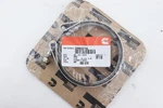Cummins Clamp 3905216. Fixed Price $46.99.