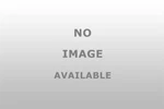Standard Ignition - EEH029 Vapor Canister Purge Valve Hose. Fixed Price $78.97.