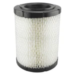 Baldwin Filters RS4161 Air Filter, Radial 2TCE8. Fixed Price $25.00.