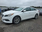 Sonata 2015 Fuel Vapor Canister 2226341. Fixed Price $180.00.