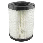 Baldwin Filters RS4161 Air Filter, 5-31/32 X 8-5/32 In.. Fixed Price $25.79.