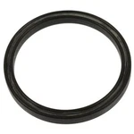 Standard Ignition EVCS01 Fuel Vapor Canister Seal. Fixed Price $29.82.
