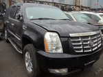 Escalaesv 2007 Fuel Vapor Canister 404649. Fixed Price $65.00.