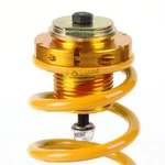 4PCS Front+rear 1"-4" Lowering Coilover Kit W/gold Springs For 06-11 Honda Civic. Fixed Price $62.69.