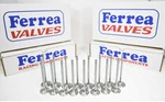 Ferrea 6000 Series Std Size Valves For 2008-15 Mitsubishi Lancer Evo X 4B11T. Fixed Price $335.00.