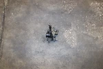 2000-2003 Honda S2000 AP1 Vps Vent Pressure Sensor Oem TN499500-0080. Fixed Price $49.99.