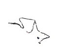 Genuine Mopar Jumper Wiring 68400251AC. Fixed Price $54.74.