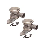 SET-PIE728238560-2 Pierburg Inject Check Valves Of For 545 745 Pair. Fixed Price $231.54.