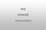 Standard Ignition EEH029 Vapor Canister Purge Valve Hose. Fixed Price $69.43.