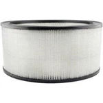 Baldwin PA2091 Air Element For Select 80-91 Chevrolet Gmc Models. Fixed Price $28.64.