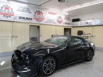 Mustang 2020 Fuel Vapor Canister 1740542. Fixed Price $103.99.