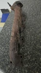 99 04 Ford Expedition Right Passenger Exhaust Manifold 8-330 5.4L. Fixed Price $35.00.