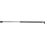 Lift Support Fits 2002-2007 Dodge Ram 1500 2500 3500. Fixed Price $26.98.
