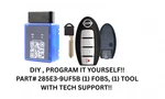 Diy Bundle For Titan Pathfinder Murano Frontier 285E3-9UF5B Program Yourself!!. Fixed Price $94.99.