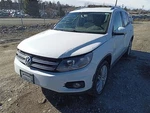 Tiguan 2014 Fuel Vapor Canister 10515845. Fixed Price $96.02.