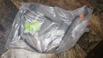 Oem 2022-24 Ford Maverick 2.5L Fhev Fuel Vapor Separator Tube Hose NZ6Z-9D289-C. Fixed Price $120.00.