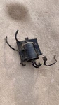 91-92 Toyota Land Cruiser FJ80 3FE Charcoal Vapor Canister Oem. Fixed Price $139.00.