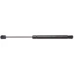 Strong Arm 4364 Hood Lift Support For 02-10 Dodge 1500 2500 3500 4500 5500. Fixed Price $36.51.