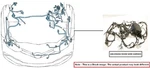 Engine Room Harness Oem 2009 Toyota Tacoma. Fixed Price $769.00.